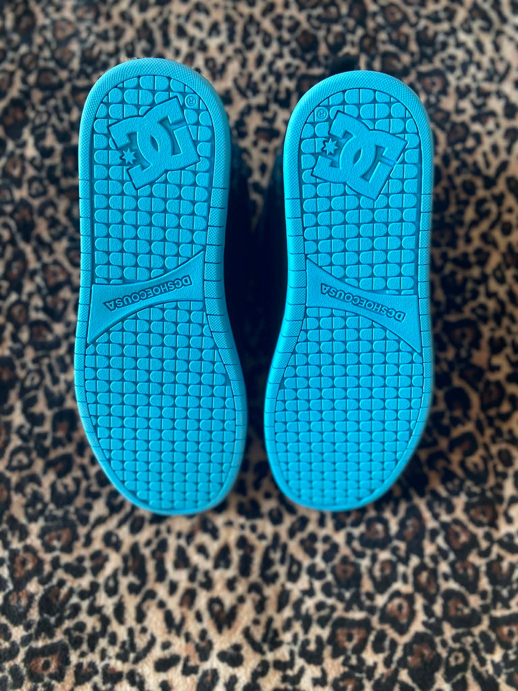 DC Blue Pixies